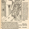 [La Nef des Fous]. Stultifera Navis.