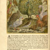 Vorsteliicke Warande der dieren [...] Oock met aerdige Afbeeldingen geciert, ende constich in coper gesneden, door Marcus Gerards, Schilder.