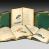 The Birds of Great-Britain, with their Eggs, accurately figured. – Image 2