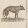 Voyage aux sources du Nil, en Nubie et en Abyssinie, Pendant les anne9es 1768 e0 1773 ; suivi des quatre voyages dans le pays des Hottentots et la Cafrerie, en 1777-78-79, par Paterson, trad. De le9anglais par Castera. - Imagen 4