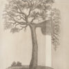 Voyage aux sources du Nil, en Nubie et en Abyssinie, Pendant les anne9es 1768 e0 1773 ; suivi des quatre voyages dans le pays des Hottentots et la Cafrerie, en 1777-78-79, par Paterson, trad. De le9anglais par Castera. - Imagen 6