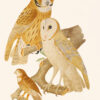 Ornithologie brésilienne ou histoire des oiseaux du Brésil, remarquables par leur plumage, leur chant ou leurs habitudes. - Image 6