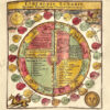 Manuductio ad Astronomiam, Juxta modum Bayeri, Mathematici celeberrimi, concinnata, multis,…edita à Joh. Philippo Andreae. – Image 5