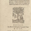 Alphatbetum hebraicum, in quo diligentius & sincerius quam antehac legedi ratio ex Hebraeorum monumentis explicatur : adiecto ad tirones exercendos Decalogo, ad haec brevi accentuum tractatione, quantum illis necessarium est.