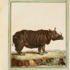 Collection des animaux quadrupèdes de Buffon, formant 362 planches d’animaux, coloriées, servant à toutes les éditions des Œuvres de cet auteur ; classées par ordres et genres sur le système animal de Linné : avec deux tables. - Image 5