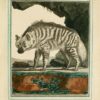 Collection des animaux quadrupèdes de Buffon, formant 362 planches d’animaux, coloriées, servant à toutes les éditions des Œuvres de cet auteur ; classées par ordres et genres sur le système animal de Linné : avec deux tables. - Image 2