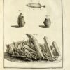 Reise nach Kalifornien zur Beobachtung des Durchgangs der Venus über die Sonnenscheibe, am 3. Juni 1769; Enthält die Beobachtungen dieses Phänomens und die historische Beschreibung der Route des Autors durch Mexiko. – Bild 3