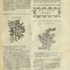 Herbario novo di Castore Durante medico, et cittadino Romano. Con Figure, che rappresentano le vive Piante, che nascono in tutta Europa, & nell’ Indie Orientali, & Occidentali... – Image 2