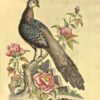 Naturgeschichte seltener Vögel: und anderer seltener Tiere & die nicht beschrieben wurden, Vierfüßer, Reptilien, Fische, Insekten, &c. Dargestellt auf Einhundertzehn Kupferstichen, Mit einer umfangreichen & genauen Beschreibung jeder Figur... – Bild 4