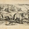 Animalium quadrupedum omnis generis verae et artificiosissimae delineationes, pictore Marco Gerardo Brugense. – Image 3