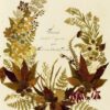 Fleurs peintes à l’aquarelle. - 图片 4