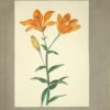 Fleurs peintes à l’aquarelle. - 图片 3