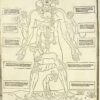 Fasciculus Medizin... – Bild 5
