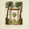 MŒURS ET COUTUMES DES PEUPLES, ou Collections de tableaux représentant les usages remarquables, les mariages, funérailles, supplices et fêtes des diverses nations du monde. – Image 8