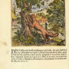 Vorsteliicke Warande der dieren [...] Oock met aerdige Afbeeldingen geciert, ende constich in coper gesneden, door Marcus Gerards, Schilder. - 이미지 5