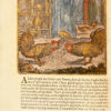 Vorsteliicke Warande der dieren [...] Oock met aerdige Afbeeldingen geciert, ende constich in coper gesneden, door Marcus Gerards, Schilder. - 이미지 6