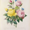 Choix des plus belles fleurs et des plus beaux fruits