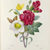 Choix des plus belles fleurs et des plus beaux fruits - 이미지 2