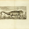 Reise von Siam, der Jesuitenpatres, vom König nach Indien und China gesandt. Mit ihren astronomischen Beobachtungen und ihren Anmerkungen zur Physik, Geographie, Hydrographie und Geschichte. – Bild 5