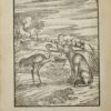 Cento Favole Morali. De i piu illustri antichi, & moderni autori Greci, & Latini. - Image 2