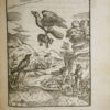 Cento Favole Morali. De i piu illustri antichi, & moderni autori Greci, & Latini. - Image 5