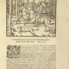 La Venerie et Fauconnerie de Iaques dv Fouilloux, Jean de Franchieres, & autres divers autheurs. Reveuës, corrigees & augmentees de chasses non encores par cy devant impriméees. Par I. D. S. Gentil-homme P. [Jean de Sansicquet]. - Image 5