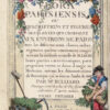Flora Parisiensis ou descriptions et figures des plantes qui croissent aux environs de Paris avec les différens noms, classes, ordres et genres qui leur conviennent, rangés selon la méthode sexuelle de Linné. - Image 4