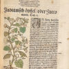 Kreutterbuch darin vnderscheidt Name(n) vnnd wcrckung der Kreutter, Stauden, Hecken vnnd Becmen, sampt iren Frcchten, so inn Tectschen Landen wachsen... auB langwiriger vnnd gewisser erfahrung beschriben. Vnd jetzund von newem fIeiBig vbersehen, gebessert vnd gemehret... - 图片 5