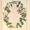 La Botanique mise a la portée de tout le monde ou collection des plantes d’usage dans la médecine dans les alimens et dans les arts. Avec des notices instructives puisées dans les auteurs les plus celebres, contenant la description, le climât, la culture, les proprietes et les vertus propres a chaque plante, precedé d’une introduction a la botanique, ou dictionnaire abregé des principaux termes emploiés dans cette science. Executé et Publié par Les Sr. Et De.Regnault Avec approbation et Privilege dy Roy. – Image 10