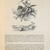   Les Mille et une nuits contes Arabes traduits par Galland. Edition illustr�e par les meilleurs artistes fran�e7ais et �e9trangers. Revue et corrig�e sur l�e9dition princeps de 1704 ; augment�ee d�une dissertation sur les Mille et une nuits par M. le Baron Silvestre de Sacy. – Bild 11