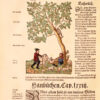 Kre4tterbuch, darin underscheidt, Nammen und W4rckung der Kre4tter, Stauden, Hecken unnd Beumen, sampt ihren Fr4chten, so inn Teutschen Landen wachsen, auch der selben eigentlicher unnd wolgegr4ndter Gebrauch inn der Artzney, fleissig dargeben... Item von den vier Elementen, zamen und wilden Thieren... Jetz und auffs new mit allem Fleiss ubersehen und... gemehret durch Melchiorem Sebizium. - 图片 10