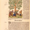 Kre4tterbuch, darin underscheidt, Nammen und W4rckung der Kre4tter, Stauden, Hecken unnd Beumen, sampt ihren Fr4chten, so inn Teutschen Landen wachsen, auch der selben eigentlicher unnd wolgegr4ndter Gebrauch inn der Artzney, fleissig dargeben... Item von den vier Elementen, zamen und wilden Thieren... Jetz und auffs new mit allem Fleiss ubersehen und... gemehret durch Melchiorem Sebizium. - 图片 3