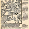 [La Nef des Fous]. Stultifera Navis. - Imagen 4