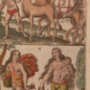 Voyages en Afrique, Asie, Indes orientales, & Occidentales… divisez en six livres, & enrichis de Figures. – Image 3