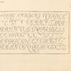 La Rizographie ou les Sources, élémens & perfections de l’écritture Italiene, par G. Le Gangneur, secrétaire ordinaire de la chambre du Roy. – Image 3