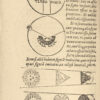 Epitome Astronomiae, qua brevi explicatione omnia, tam ad Sphaericam quam Theoricam eius partem pertinentia, ex ipsius scientiae fontibus deducta, perspicue per quaestiones traduntur... – Image 4