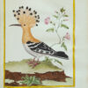 Histoire naturelle des oiseaux. - Imagen 7