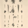 Voyage de la corvette de l’Astrolabe (autour du Monde) exécuté par ordre du Roi pendant les années 1826-1827-1828-1829. – Image 15