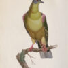 Les Pigeons. - Image 3