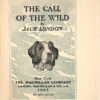 The Call of the Wild. - 图片 4