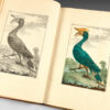Première centurie de planches enluminées et non enluminées représentant au Naturel ce qui se trouve de plus Intéressant et de plus Curieux parmi les animaux, les végétaux et les minéraux, Pour servir d'intelligence à l'histoire générale des trois Règnes de la Nature. - Seconde centurie...
