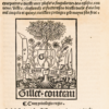 Le Couronnement du roy François premier de ce nom. Voyage τ conqueste de la duche de Millan, victoire et repulsion des exurpateurs dicelle avec plusiers singularitez des eglises, couvens, villes, chasteaulx et forteresses dicelle duche fais lan mil cinq cēs et quinze, cueillies τ rediges par Le Moyne sans froc (Pasquier Le Moyne).
