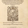 La practicque et enchiridion des causes criminelles, illustrée par plusieurs elegantes figures, rédigée en escript par Josse de Damhoudere docteur es droictz, Conseillier & commis des demaine & Finances de l’Empereur Charles le V… – Bild 3
