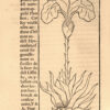 L’art & science de la vraye proportion des Lettres Attiques, ou Antiques, autrement dictes, Romaines, selon le corps & visaige humain…la manière d’ordonner la langue Françoise, par certaine règle de parler élégamment en bon & plus sain langage Fraçois que par cy devant, avec figures à ce convenantes… - Image 3