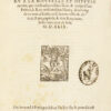 C’est l’ordre qui a este tenu a la nouvelle et ioyeuse entrée, que treshaut, tresexcellet, & trespuissant Prince, le Roy treschretien Henry deuzieme de ce nom, à faicte en sa bonne ville & cité de Paris, capitale de son Royaume, le sezieme iour de Juin 1549. - Image 8