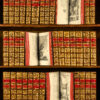 Histoire naturelle, générale et particulière, avec la description du cabinet du Roy.