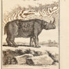 Histoire naturelle, générale et particulière, avec la description du cabinet du Roy. - Imagen 3
