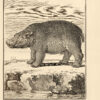 Histoire naturelle, générale et particulière, avec la description du cabinet du Roy. - Imagen 2