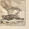 Histoire naturelle, générale et particulière, avec la description du cabinet du Roy. - Imagen 5