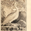 Histoire naturelle, générale et particulière, avec la description du cabinet du Roy. - Imagen 6